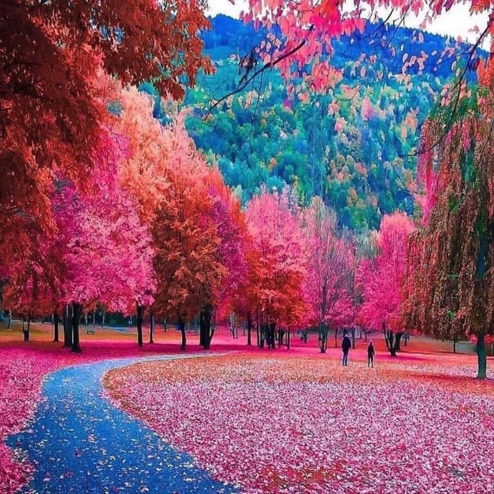 Meet your Posher, Zayde